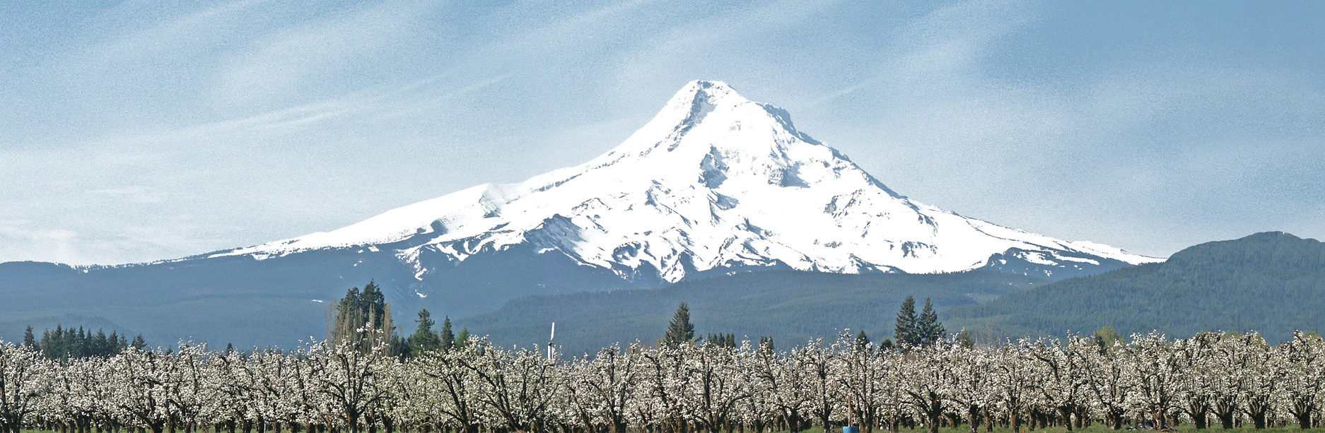 Mt Hood